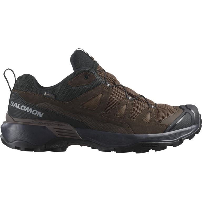 Salomon X ULTRA 360 LEATHER GORE-TEX Lage Wandelschoen Heren Dark Earth/Delicioso/Sharkskin 8