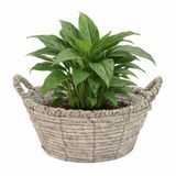 Mega Collections Bloemen/plantenmand Sneek - Grijs - Riet - D25 x H11 cm