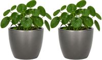 Floran Bloempot Boule - 2x - metallic - zilver - keramiek - D15 x H13 cm