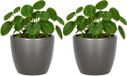 Floran Bloempot Boule - 2x - metallic - zilver - keramiek - D15 x H13 cm