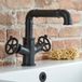 Hudson Reed Robinet de lavabo industriel - Noir - Mélangeur rétro