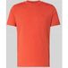 VIVID RED T-SHIRT/SERAFINO 1/2 ARM