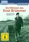 Die Millionen des Knut Brümmer