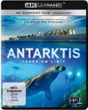 Antarktis - Leben am Limit (4K Ultra HD)