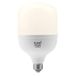 Levitantes Verlichting, afbeelding