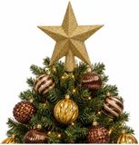 Holly & Jolly Kerstversiering set - 16x kerstallen - met ster piek - bruin met goud