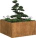 Maison Exclusive - Jardinière rustique, 80x80x40 cm, en acier résistant aux intempéries