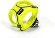 Gloria Trek Star Hondentuigje Geel XS