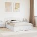 Maison Exclusive - Lit cadre avec tiroirs Blanc 160 x 200 cm Matériau dérivé du bois