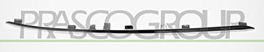 PRASCO Zier-/Schutzleiste, Kühlergitter ME0471244 vorne links | Compatibel met: MERCEDES-BENZ E-CLASS, E-CLASS T-Model