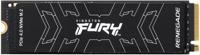 Kingston Technology 2000G FURY RENEGADE M.2 2280 NVMe SSD