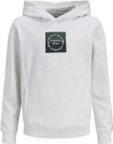 JACK&JONES JORCATSKILLS SQUARE BRANDING SWE SN JNR Jongens Sweater