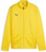 Puma Veste d'entraînement TeamGoal Training Jacket Jr 658634