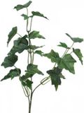 Erutan avon Ivy Chicago Tak 55 cm kunsthangplant