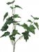 Erutan avon Ivy Chicago Tak 55 cm kunsthangplant