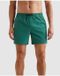 PME Legend AIRFRAME SWIMSHORTS SMALL LOGO PRI Groen