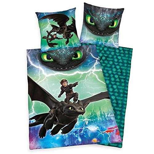 Herding Dreamworks Dragons Beddengoedset - 135x200 cm