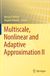 Multiscale, Nonlinear and Adaptive Approximation II