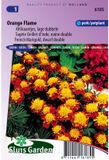 Sluis Garden Afrikaan Orange Flame