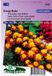 Sluis Garden Afrikaan Orange Flame
