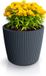 Prosperplast Plantenpot/bloempot Buckingham - buiten/binnen - design kunststof - antraciet - D29 x H26 cm