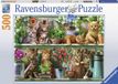 Ravensburger Katjes in het rek Puzzel - 500 stukjes - Dieren - 12+ jaar