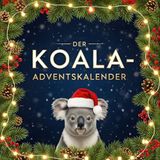 Der GPSR Kontakt Der Koala-Adventskalender