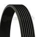 Continental Courroie trapézoïdale à nervures 7pk1950 Alfa Romeo 60617859