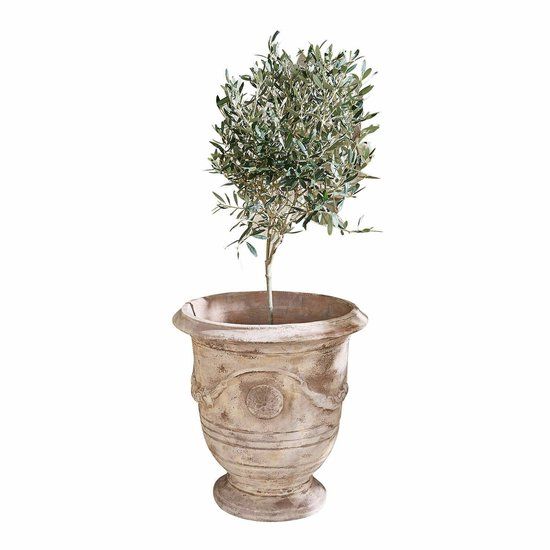 LOBERON Sierpot Garwood antiekbeige