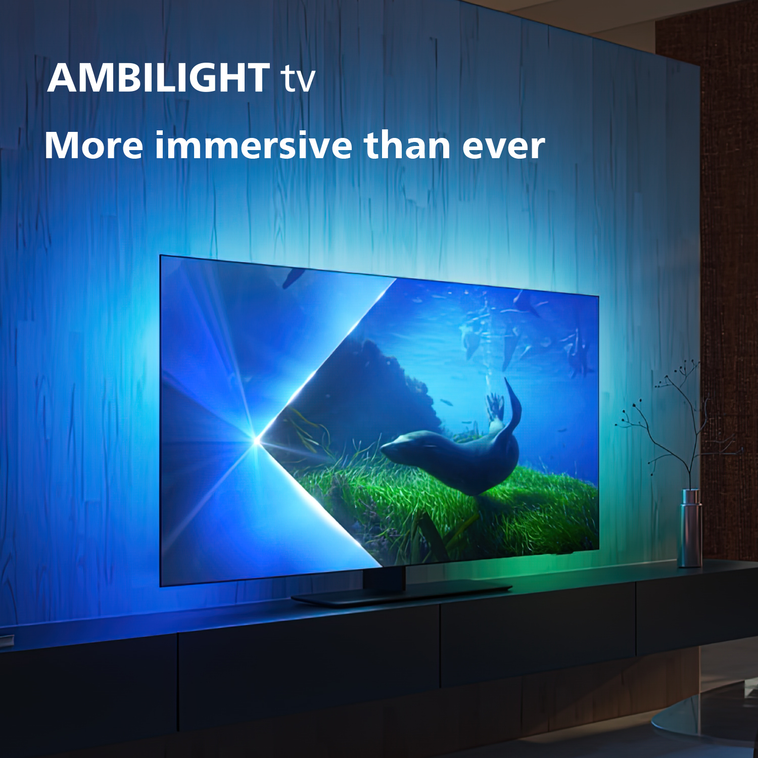 Philips OLED 48OLED808 4K Ambilight-TV | Prijzen Vergelijken ...