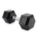 TREXO Haltère, 10 kg, caoutchouc durable hexagonal fonte pour entraînement de force à domicile avec poignée ergonomique, haltère stable et polyvalent Hex HXD100