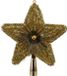 Decoris Kerstboompiek - Goudkleurig - Ster - 23 cm