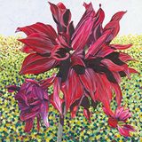 Susan Entwistle Art Black Dahlia wenskaart, 15 cm x 15 cm, veelkleurig, 6-delig