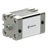 RIEGLER 155370-15.DMI.25050 compacte cilinder, dubbelwerkend, IG, K-Ø 25, hub 50, M5, ISO21287, 1 st.