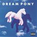 Dream Pony - Suspicion Today (LP)