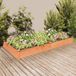 Maison Exclusive - Jardinière surélevée avec bac intégré, couleur marron, dimensions 240x120x25 cm, en bois massif de sapin