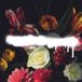 Suburban Grande Roses Built On Schemes