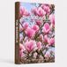 THE MAGNOLIA A Practical Guide to Growing, Choosing & Living With Magnolias: A Large Decorative Hardcover Coffee Table Book and Curated Flower Archive ... Facts, Variety Profiles, and Insights