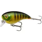 Berkley Pulse Biggie Crankbait Visaas, Ondiep lopend hard aas voor het vissen op snoek en roofvis, drijvend kunstaas met lange worp en Fusion19 haken, zoetwater met hoge waterverplaatsing, 8cm, Baars