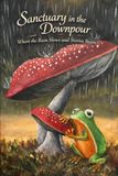 Sanctuary in the Downpour: Where the Rain Slows and Stories Begin