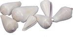 Othmar Decorations Decoratie/hobby schelpen - 500 gr - gebleekt wit - Strand thema versiering