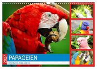 Calvendo Papageien. Knallbunte Aras und Co. (Wandkalender 2027 DIN A3 quer)