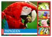 Calvendo Papageien. Knallbunte Aras und Co. (Wandkalender 2027 DIN A3 quer)
