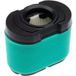 vhbw 1x filtre en mousse, 1x filtre en papier compatible avec Briggs & Stratton 40G777-0131-G5, 40G777-0130-G5 moteur pour tracteur de pelouse, autoportée