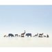 Noch 36745 figurines animaux de la forêt