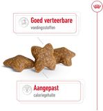 Royal Canin Mini Adult - 8 kg + Royal Canin Mini Adult Wet - 12 x 195 g