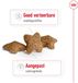 Royal Canin Mini Adult - 8 kg + Royal Canin Mini Adult Wet - 12 x 195 g
