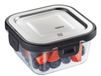 GEFU MILO Rechthoekig Container 0,3 l Grijs, Transparant