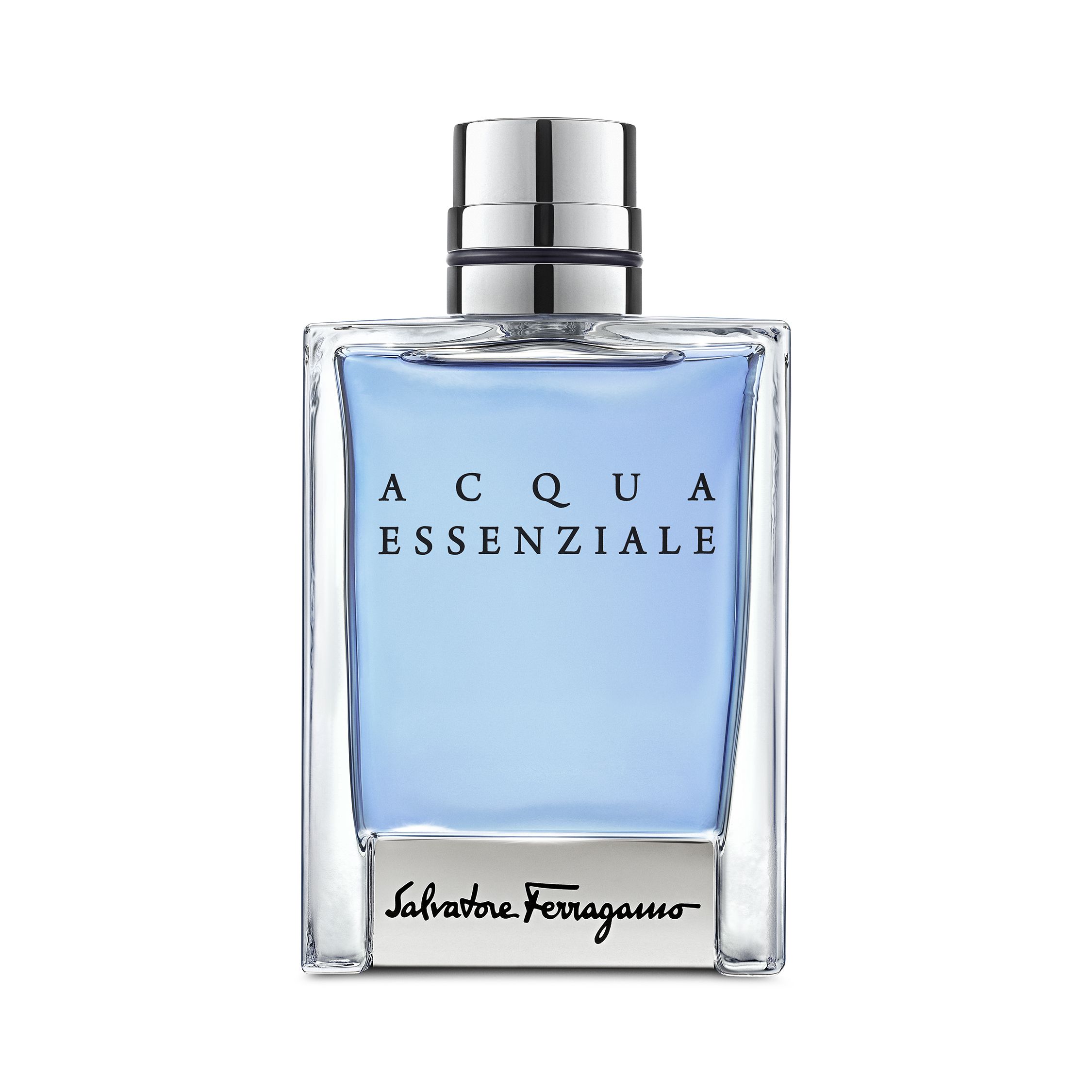Salvatore Ferragamo Eau de Toilette / 100 ml / Men