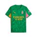 PUMA Maillot de gardien de but 25/26 AC Milan Homme, Accessoires, Vert, M